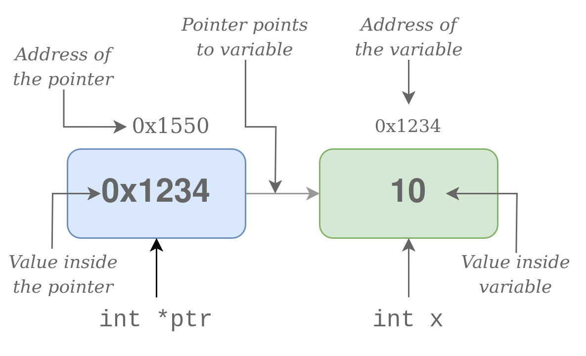 pointer